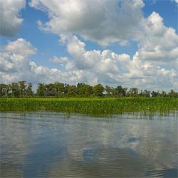 The beutiful lake Tohopekaliga!